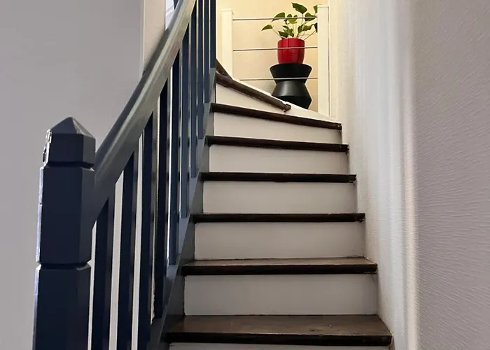 Lysbed - T2 Le Flore Angers