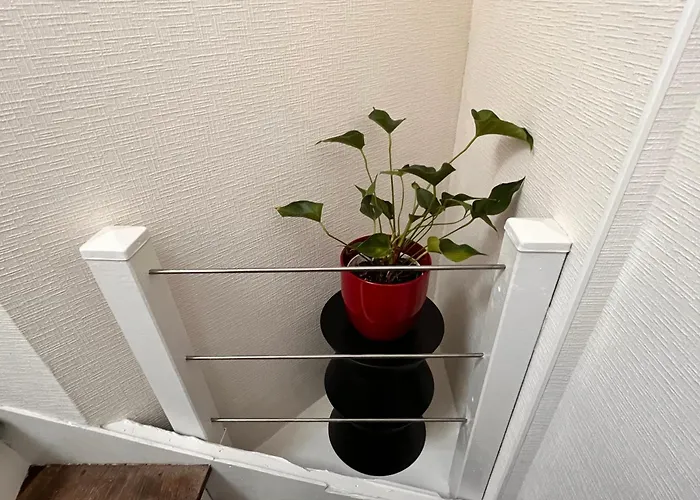 Lysbed - T2 Le Flore * Angers